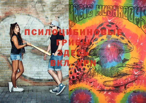 каннабис Каменногорск