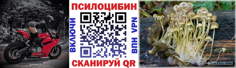 Купить где Заречный Галлюциногенные грибы ЛСД